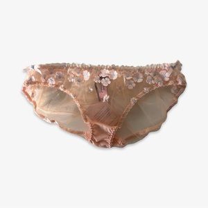 Bethanie Peach Blue Full Brief | AGENT PROVOCATEUR NWT AP3